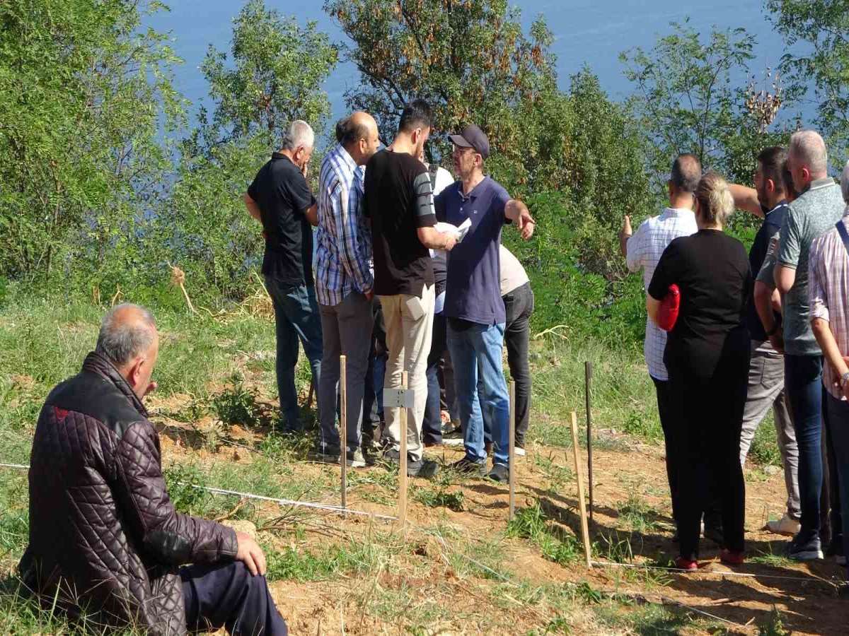 Mezar manzarası için tartıştılar: Bir kişi hastaneye kaldırıldı!