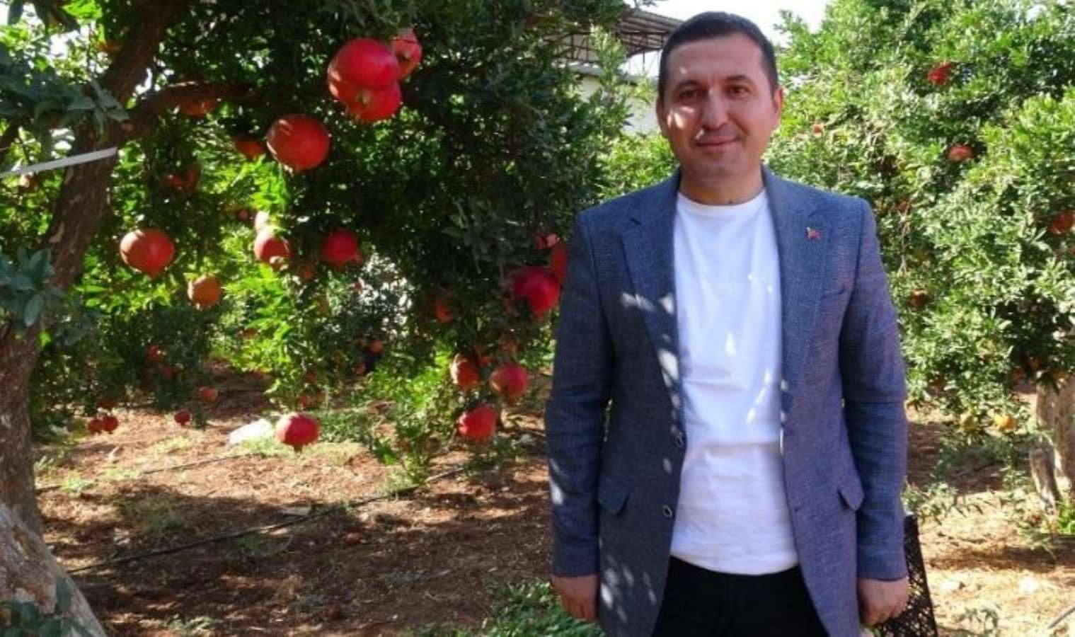 Kilis’te hasat başladı: Tarlada 10, markette ise 30 TL'den satılıyor