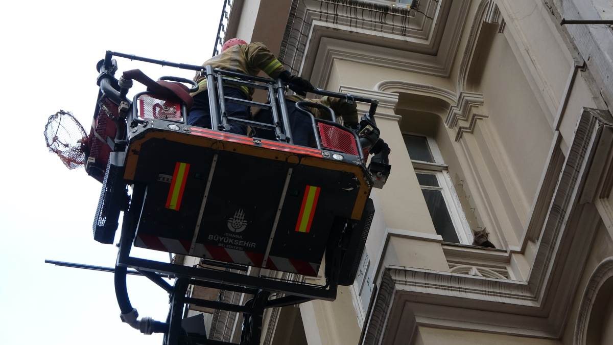 İstiklal Caddesi'nde film gibi 'kedi kurtarma' operasyonu