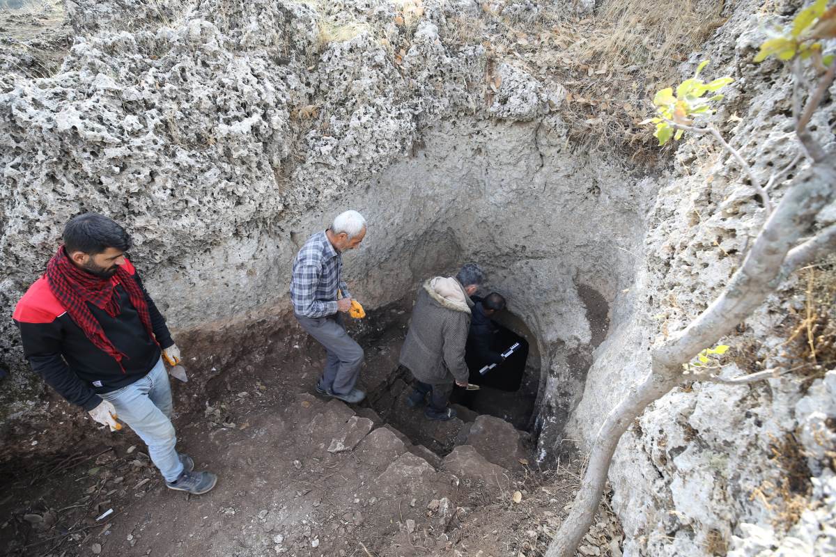 Mardin'deki kazılarda 1500 yıllık Anadolu leoparı kemikleri bulundu