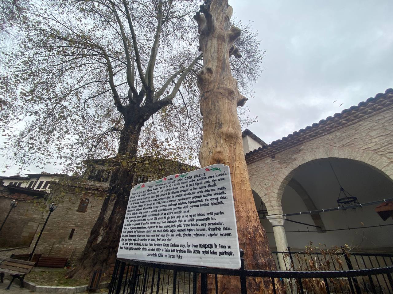 Kuruyan 350 yıllık ağacı heykele dönüştürdüler