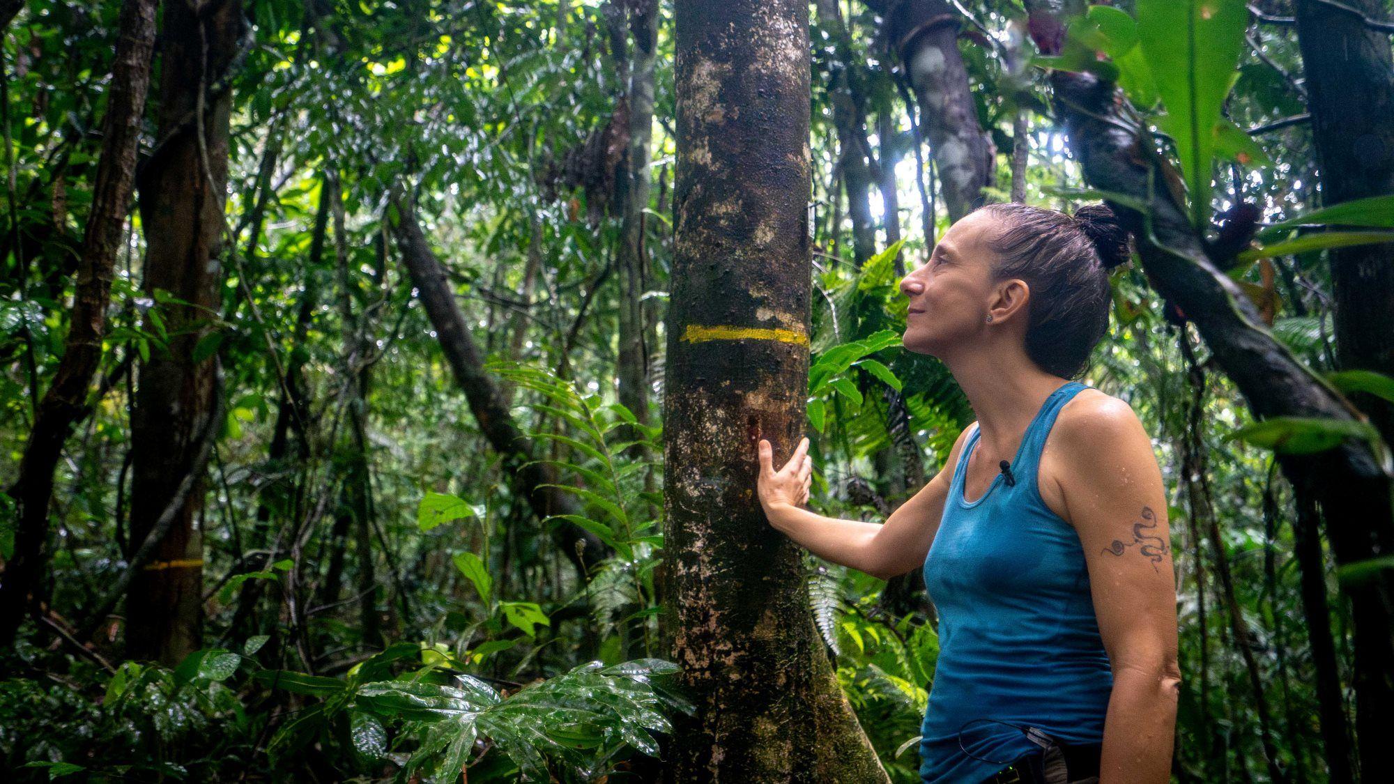 Amazon'da rekor kuraklık: 'Böylesini hiç görmedik'