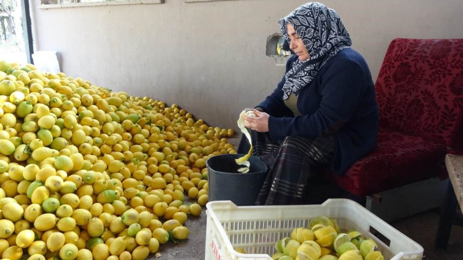 Kendisi 30 kuruş, kabuğu 17 lira! Kabuğu kendinden daha değerli