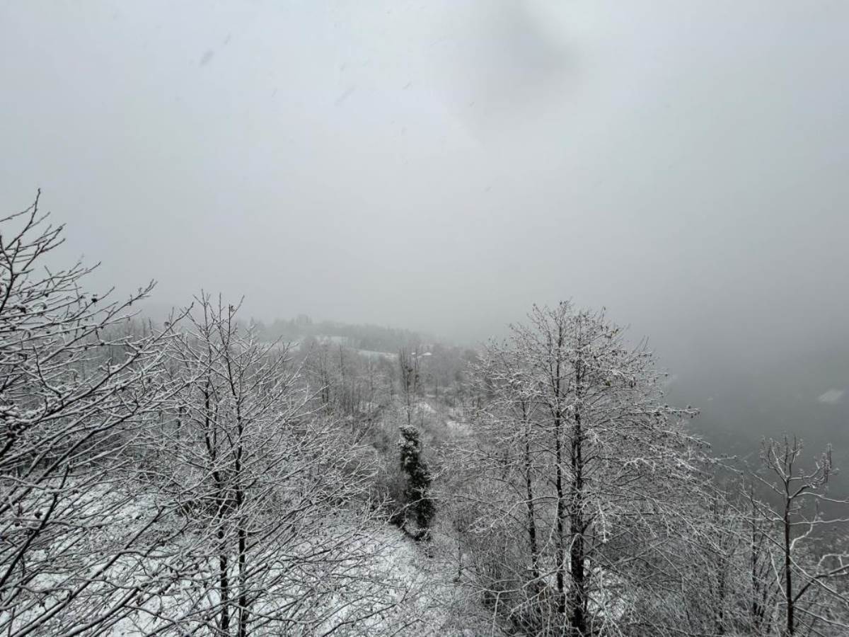 Artvin’de kar yağışı nedeniyle 13 köy yolu ulaşıma kapandı