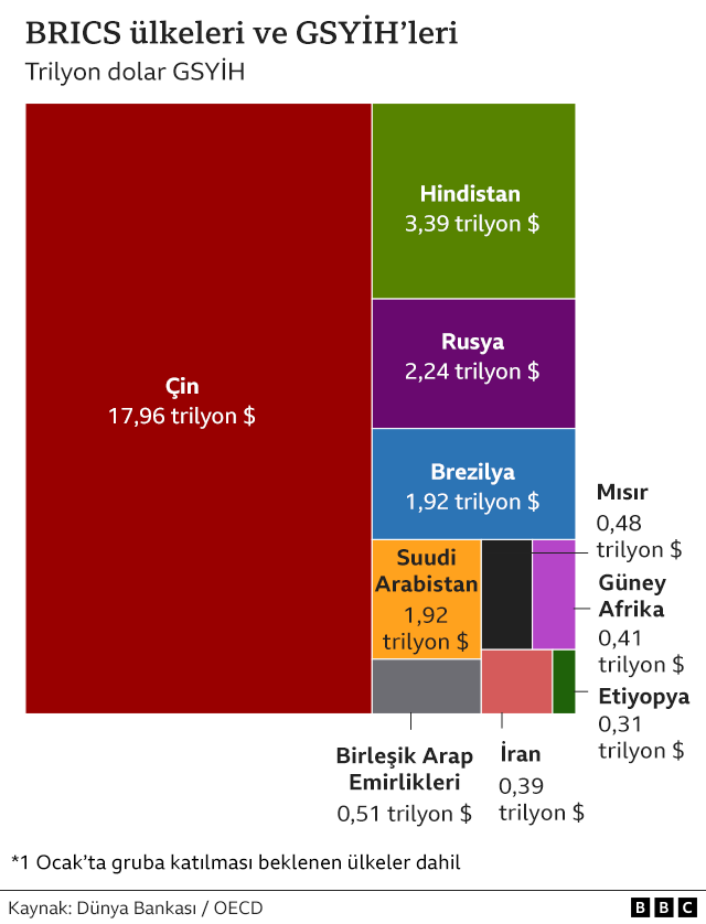 BRICS nedir? 1 Ocak'ta gruba hangi ülkeler katıldı?