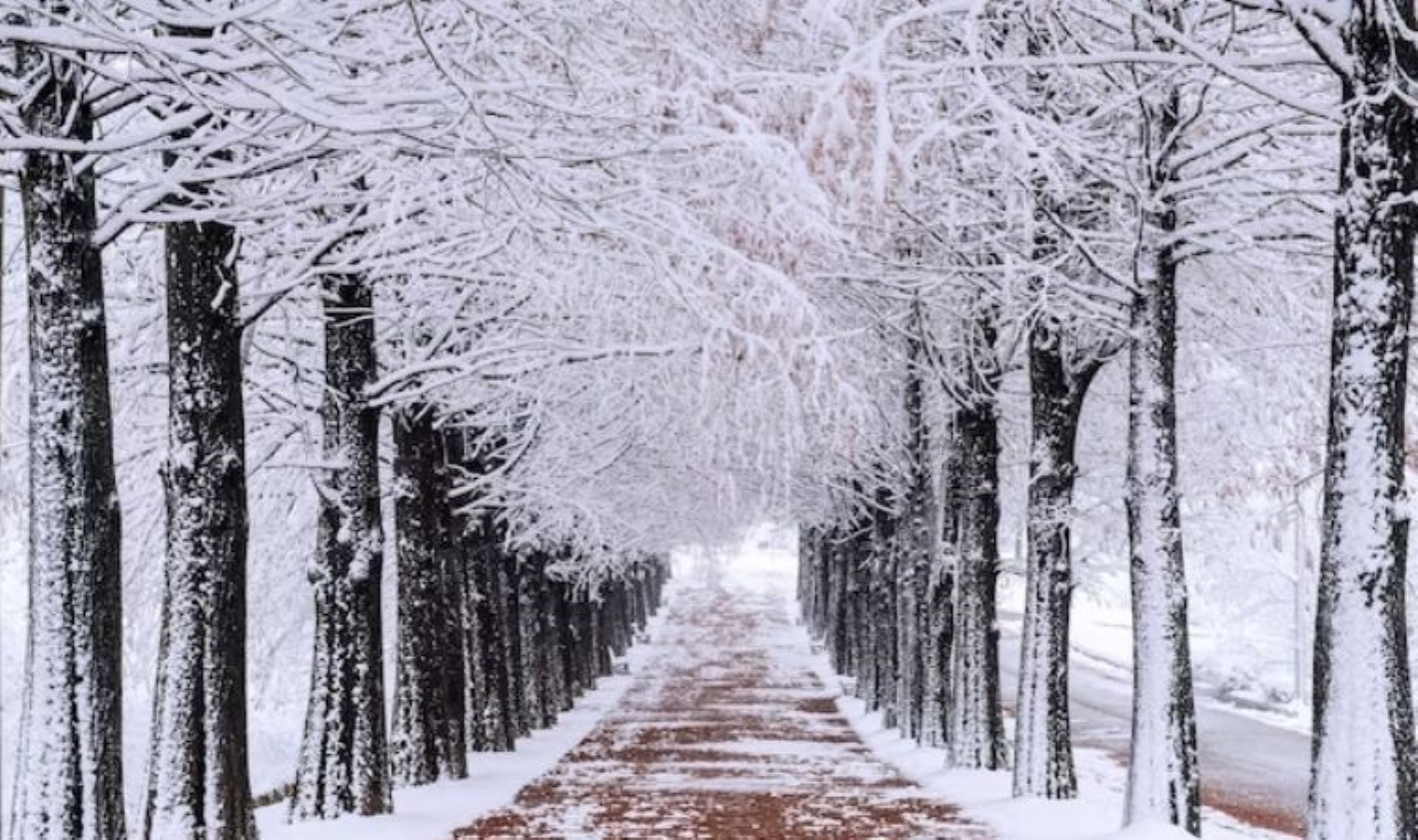 Meteoroloji beklenen günü sonunda açıkladı: İstanbul'a kar geliyor!