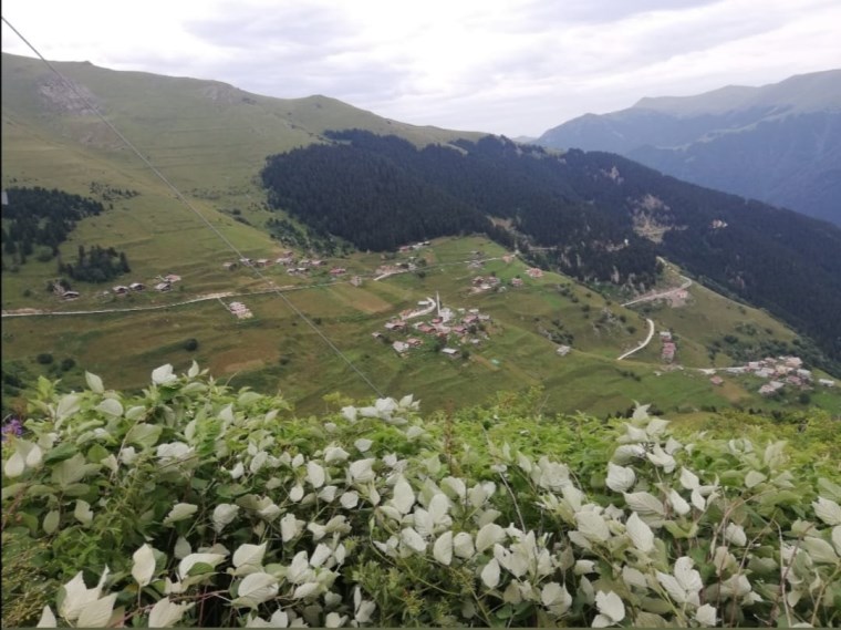 İki muhtar adayı da birbirini şikâyet etti: Trabzon'da ilginç seçim kararı